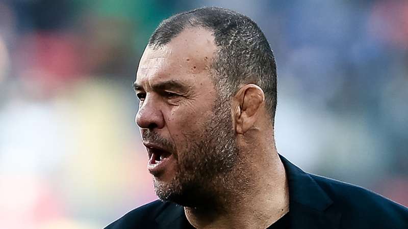 Rugby Championship: Michael Cheika urges Argentina to embrace Durban challenge against Springboks